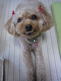 2010091307460001.jpg