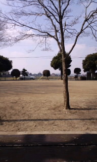 昼下がりの公園.jpg
