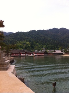 image01ro.jpg