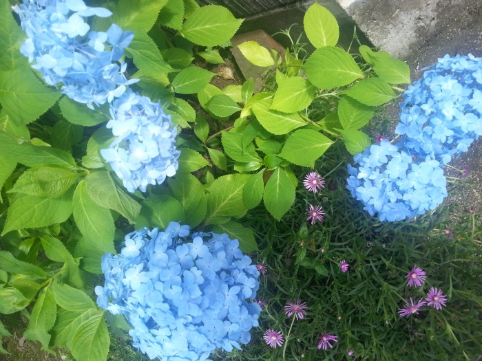 s_20130622_145556.jpg