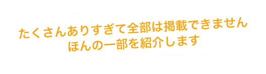 たくさんありすぎて全部は掲載できません ほんの一部を紹介します