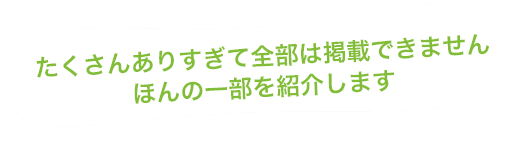 たくさんありすぎて全部は掲載できません ほんの一部を紹介します